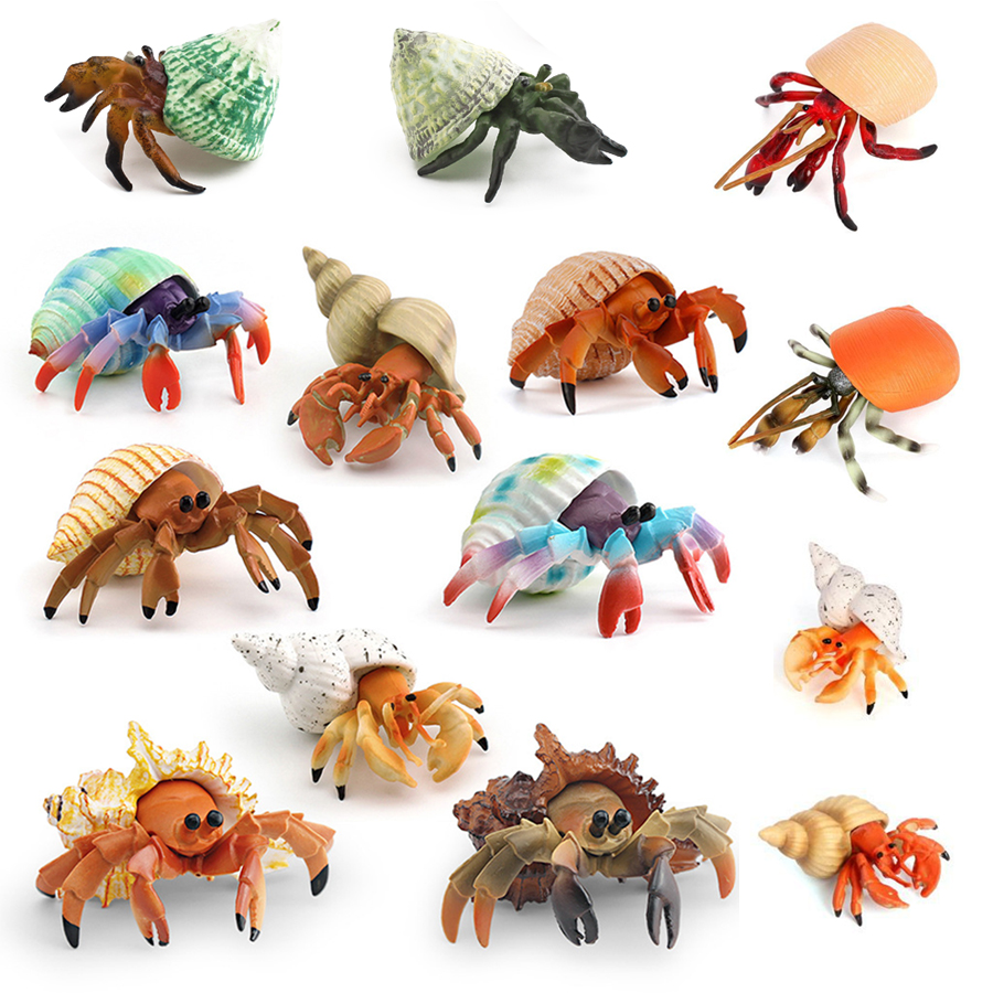 Kids Education Learning - リアルなヤドカリフィギュア耐久性のあるPVC海洋生物動物モデルフィギュア教育玩具子供幼児男の子女の子向け
